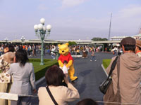 disnypooh.jpg